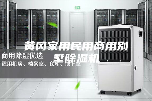 黄冈家用民用商用别墅除湿机