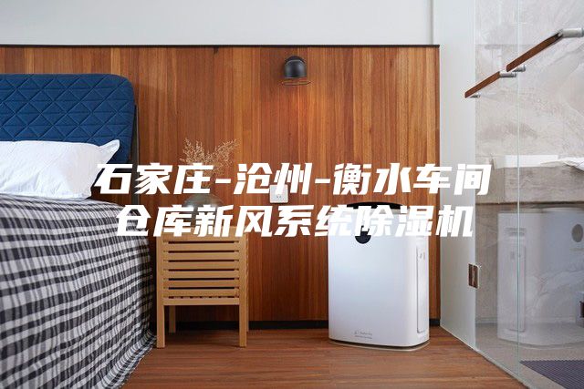 石家庄-沧州-衡水车间仓库新风系统除湿机