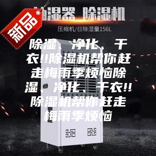 除湿、净化、干衣!!除湿机帮你赶走梅雨季烦恼除湿、净化、干衣!!除湿机帮你赶走梅雨季烦恼