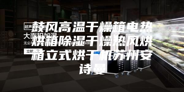 鼓风高温干燥箱电热烘箱除湿干燥热风烘箱立式烘干机苏州安诗曼