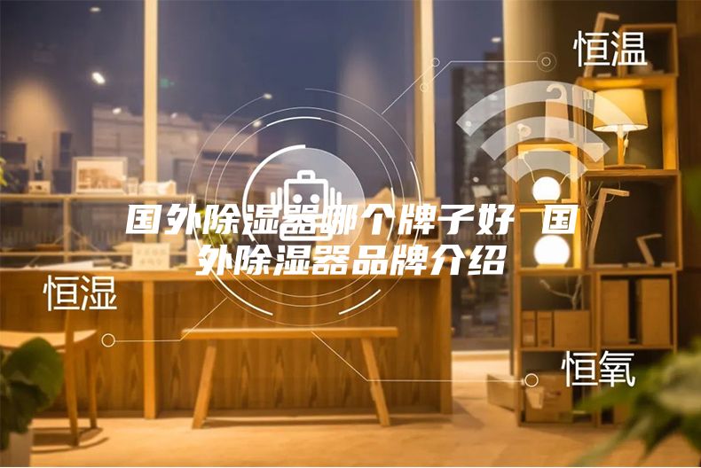 国外除湿器哪个牌子好 国外除湿器品牌介绍