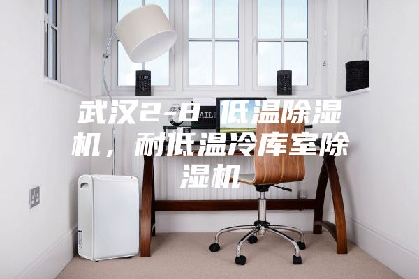 武汉2-8℃低温除湿机，耐低温冷库室除湿机