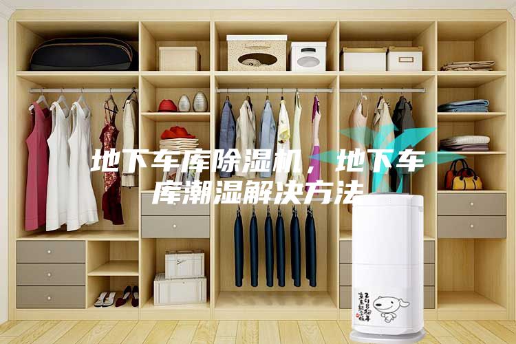 地下车库除湿机，地下车库潮湿解决方法