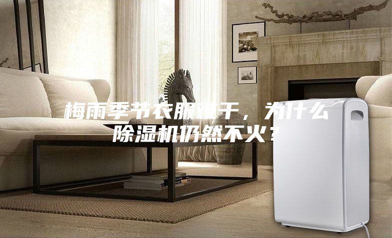 梅雨季节衣服难干，为什么除湿机仍然不火？