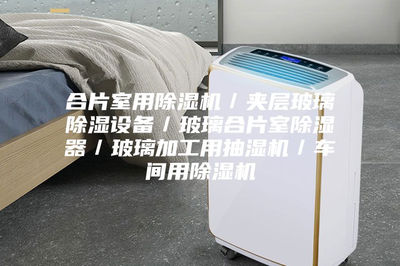 合片室用除湿机／夹层玻璃除湿设备／玻璃合片室除湿器／玻璃加工用抽湿机／车间用除湿机