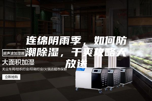 连绵阴雨季，如何防潮除湿，干爽攻略大放送