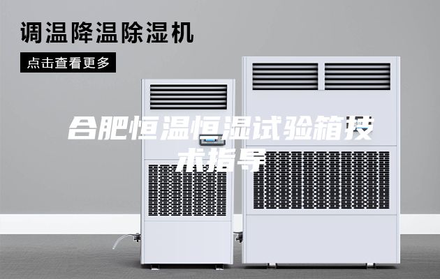 合肥恒温恒湿试验箱技术指导