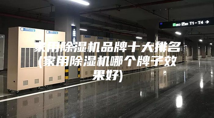 家用除湿机品牌十大排名(家用除湿机哪个牌子效果好)