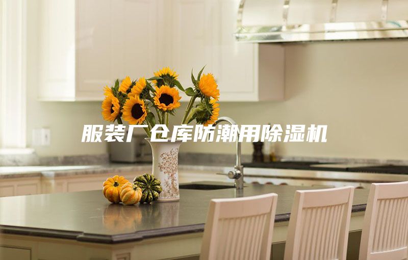 服装厂仓库防潮用除湿机