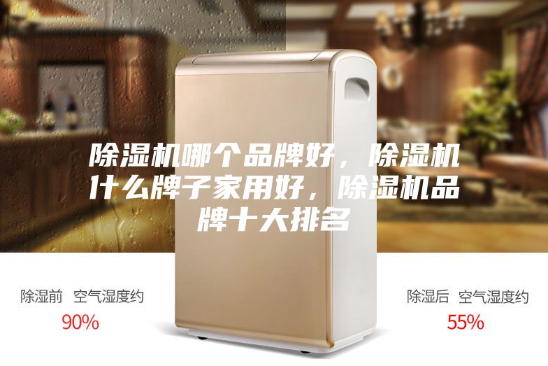 除湿机哪个品牌好,除湿机什么牌子家用好,除湿机品牌十大排名