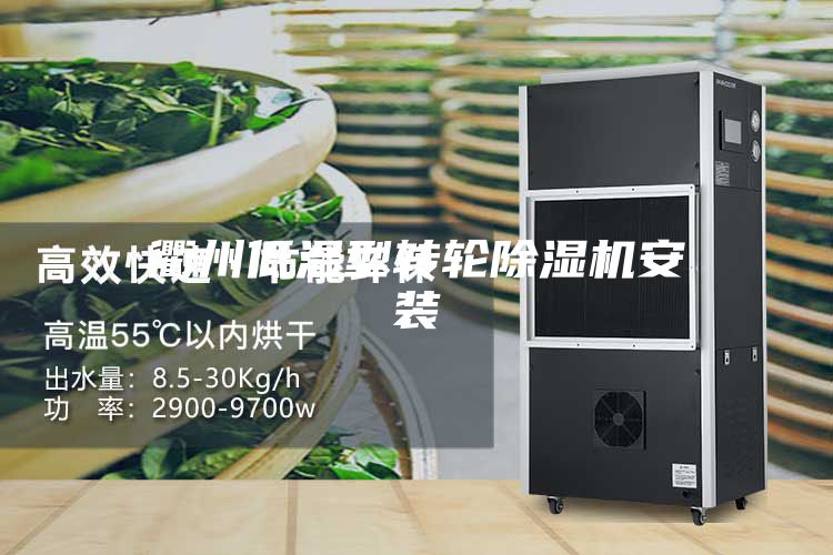 衢州低温型转轮除湿机安装