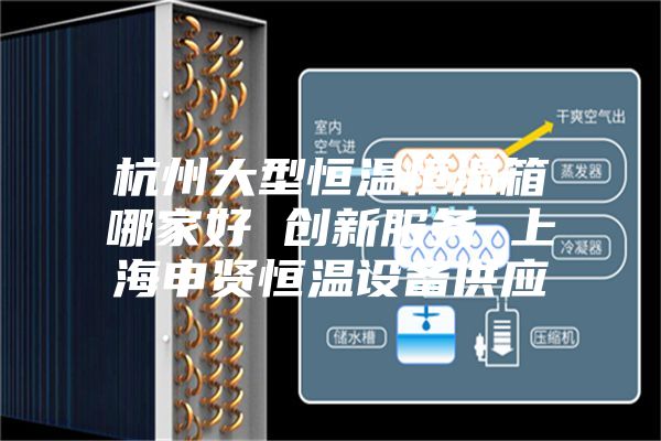 杭州大型恒温恒湿箱哪家好 创新服务 上海申贤恒温设备供应