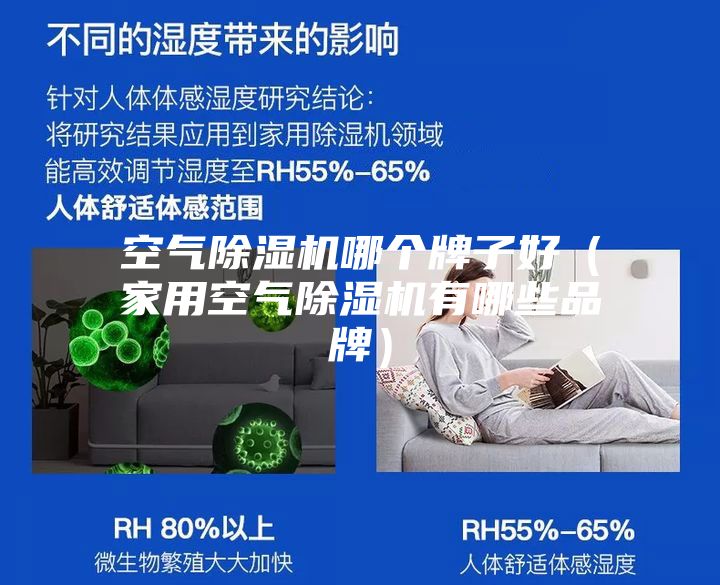 空气除湿机哪个牌子好（家用空气除湿机有哪些品牌）