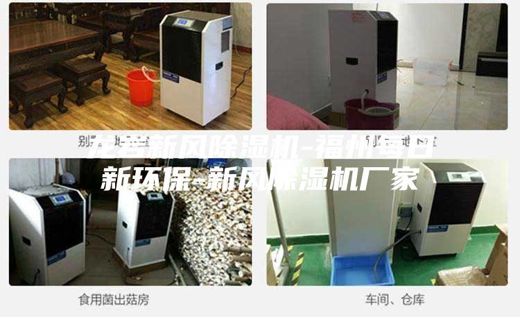 龙岩新风除湿机-福州每日新环保-新风除湿机厂家