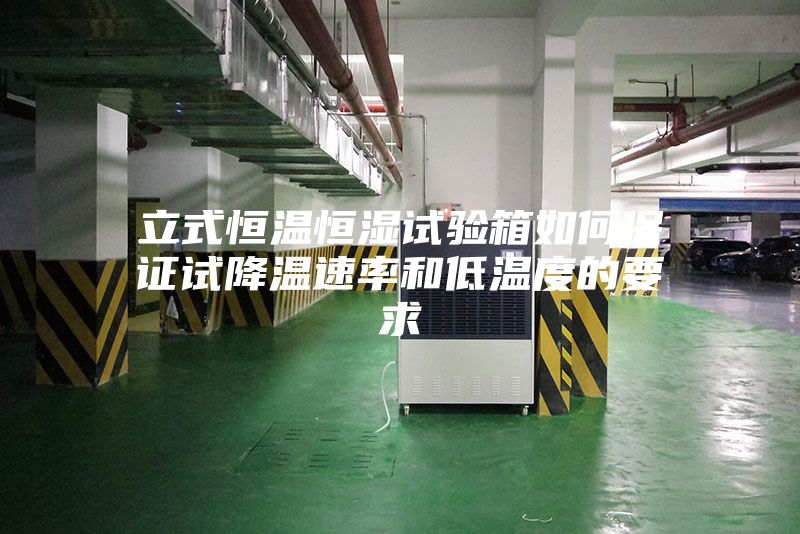 立式恒温恒湿试验箱如何保证试降温速率和低温度的要求