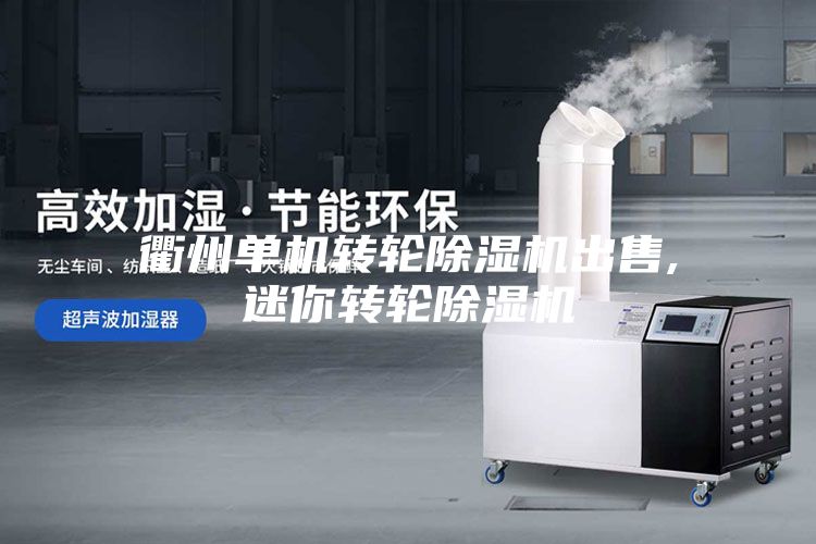 衢州单机转轮除湿机出售,迷你转轮除湿机