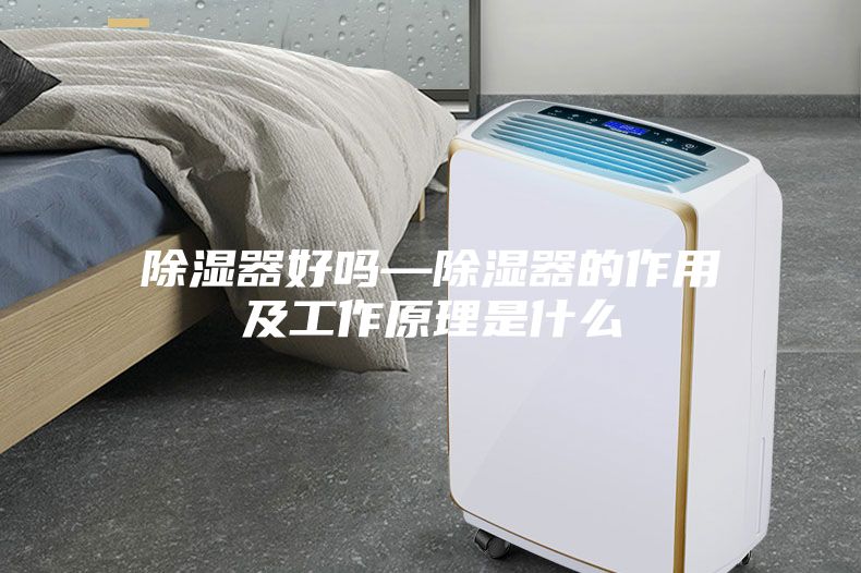 除湿器好吗—除湿器的作用及工作原理是什么