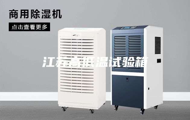江苏高低温试验箱