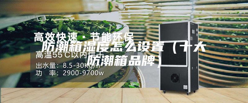 防潮箱湿度怎么设置（十大防潮箱品牌）