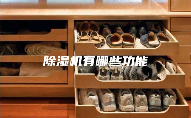 除湿机有哪些功能