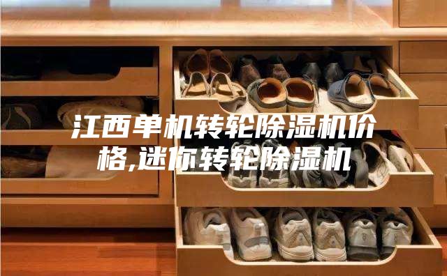 江西单机转轮除湿机价格,迷你转轮除湿机