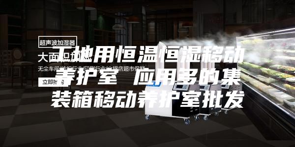 工地用恒温恒湿移动养护室 应用多的集装箱移动养护室批发