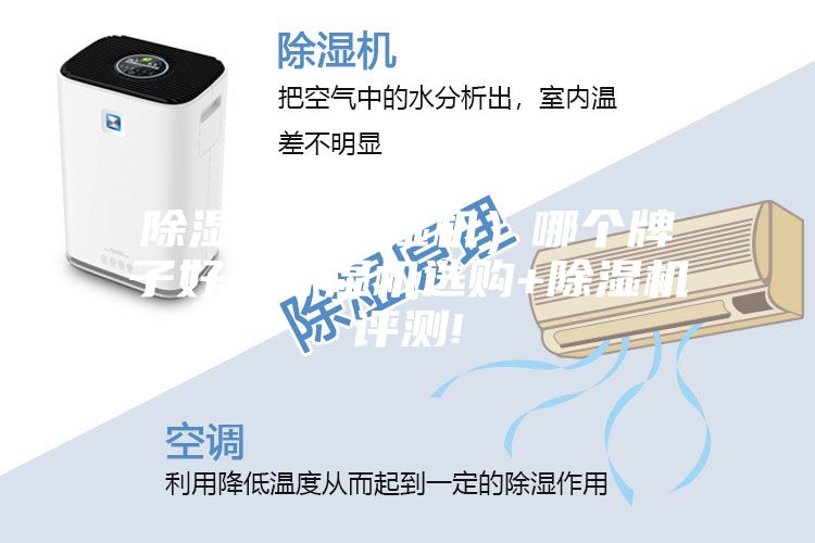 除湿机（抽湿机）哪个牌子好？除湿机选购+除湿机评测!