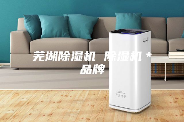 芜湖除湿机 除湿机＊品牌