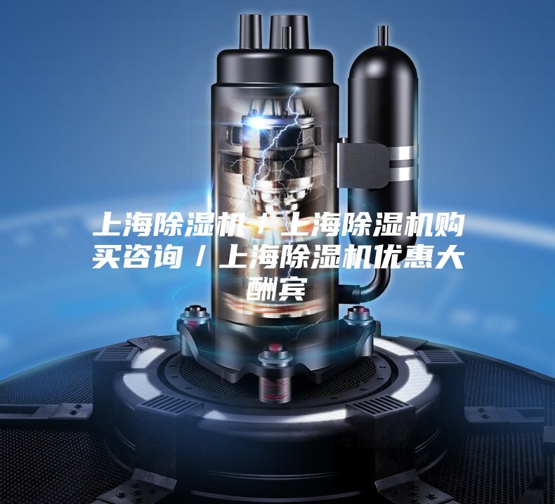 上海除湿机/上海除湿机购买咨询/上海除湿机优惠大酬宾