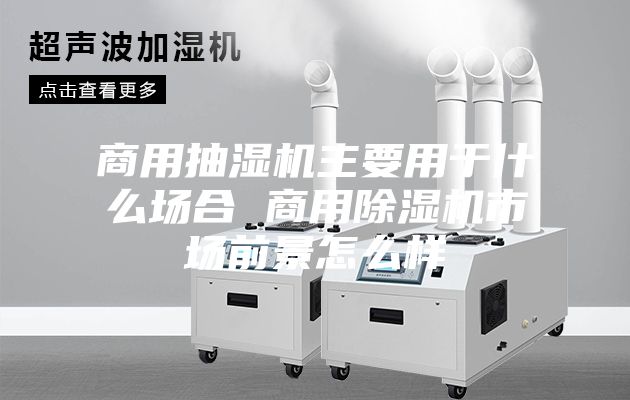 商用抽湿机主要用于什么场合 商用除湿机市场前景怎么样