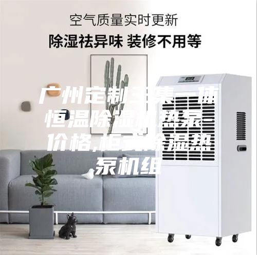 广州定制三集一体恒温除湿机热泵-价格,柜式除湿热泵机组