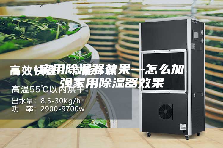 家用除湿器效果—怎么加强家用除湿器效果