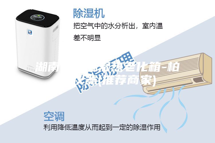 湖南高低温湿热老化箱-柏舍仪器(推荐商家)
