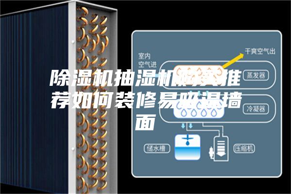除湿机抽湿机购买推荐如何装修易吸湿墙面