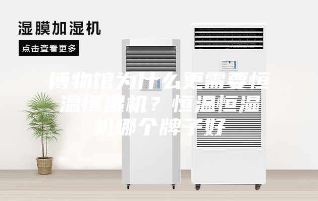 博物馆为什么更需要恒温恒湿机？恒温恒湿机哪个牌子好