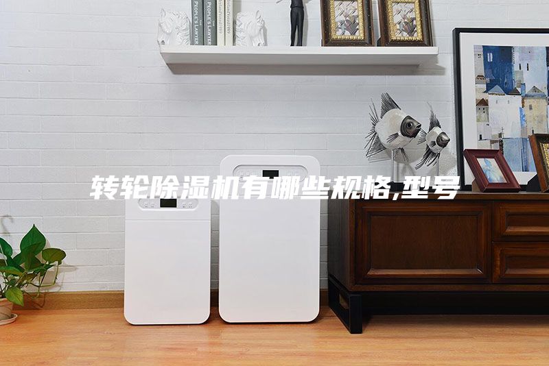 转轮除湿机有哪些规格,型号