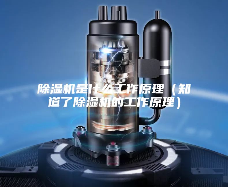 除湿机是什么工作原理（知道了除湿机的工作原理）