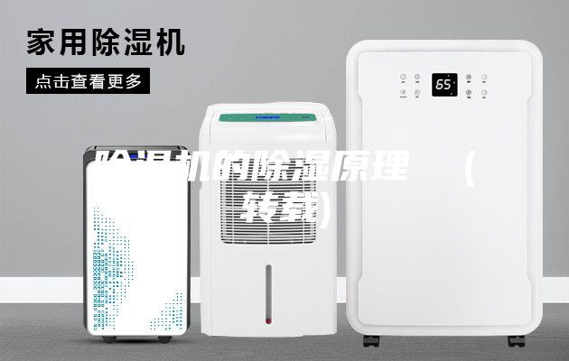 除湿机的除湿原理  (转载)