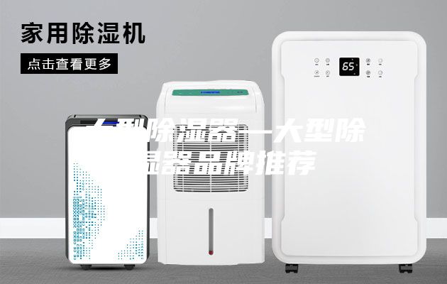 大型除湿器—大型除湿器品牌推荐