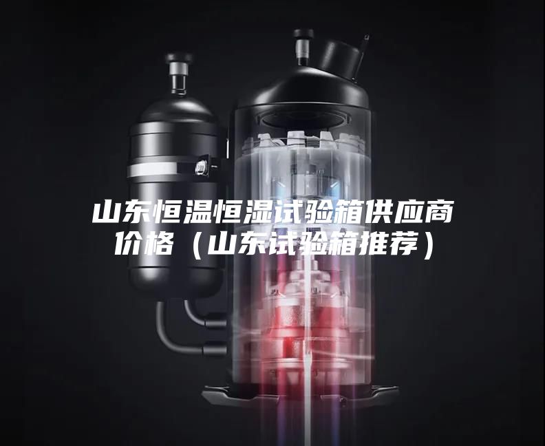 山东恒温恒湿试验箱供应商价格（山东试验箱推荐）