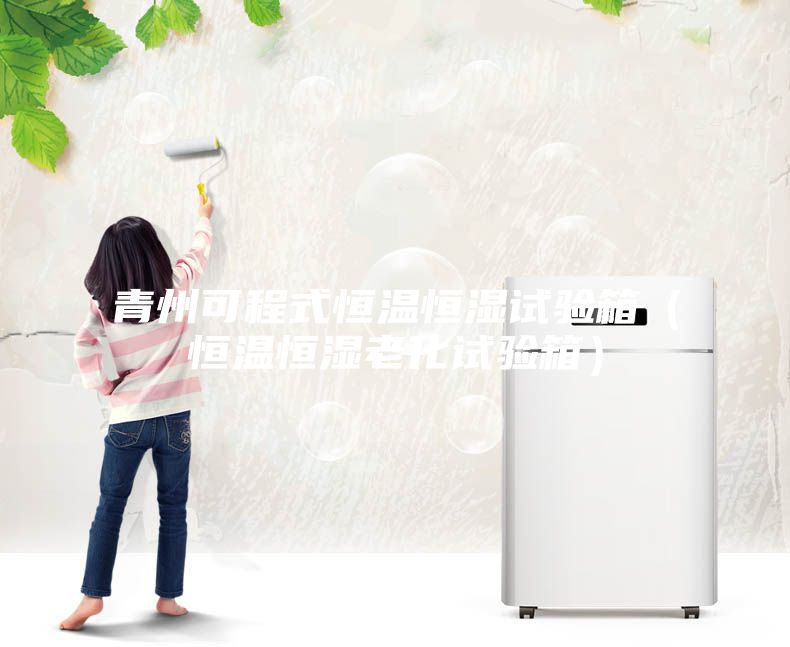 青州可程式恒温恒湿试验箱(恒温恒湿老化试验箱)