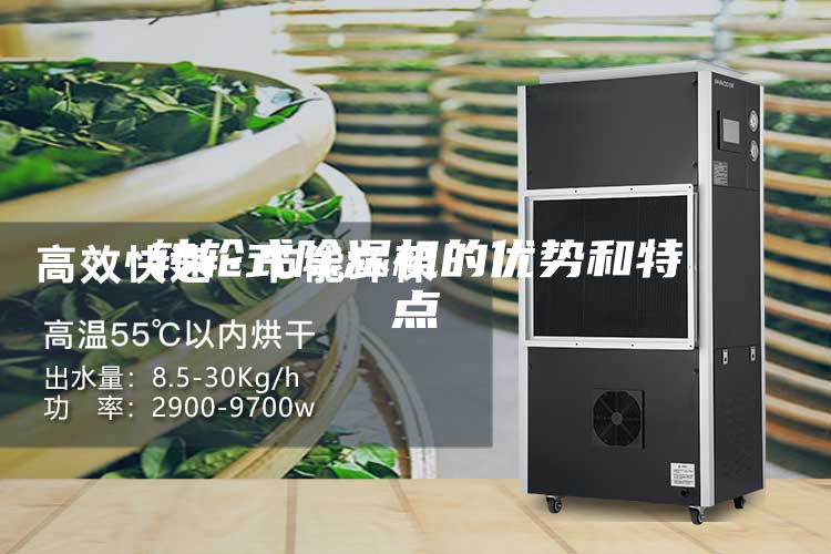 转轮式除湿机的优势和特点