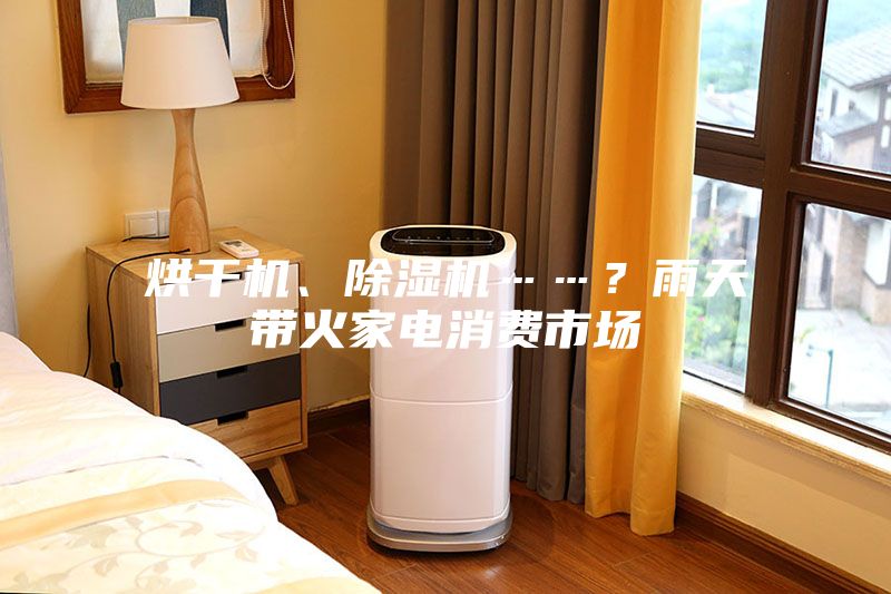 烘干机、除湿机……？雨天带火家电消费市场