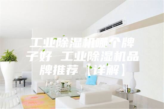 工业除湿机哪个牌子好 工业除湿机品牌推荐【详解】