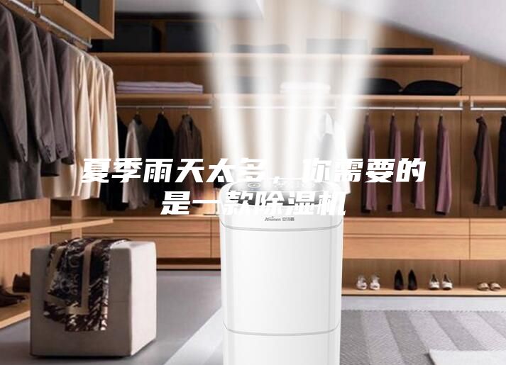 夏季雨天太多,你需要的是一款除湿机