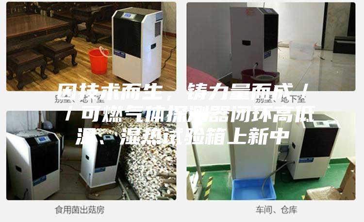 因技术而生，铸力量而成／／可燃气体探测器闭环高低温、湿热试验箱上新中