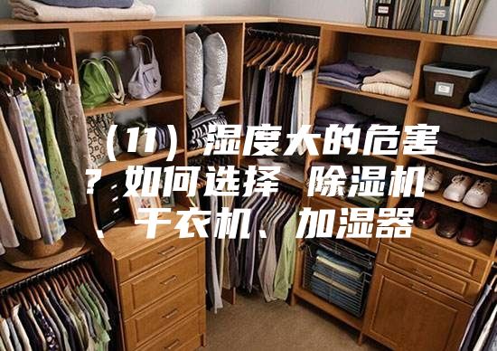 （11）湿度大的危害？如何选择 除湿机、干衣机、加湿器