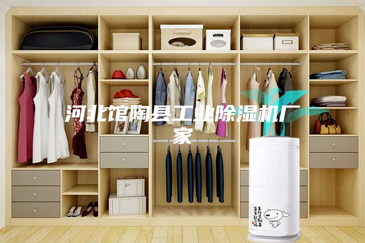 河北馆陶县工业除湿机厂家