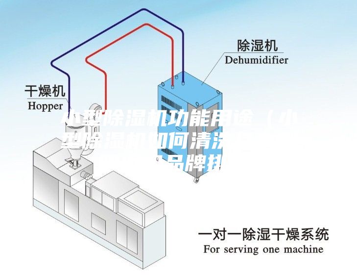 小型除湿机功能用途（小型除湿机如何清洗及小型除湿机品牌排行）