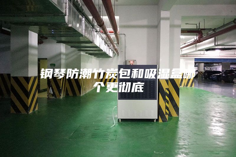 钢琴防潮竹炭包和吸湿盒哪个更彻底